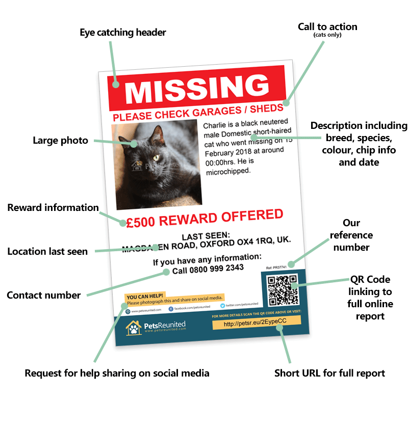 Lost pet posters and flyers for your missing pet